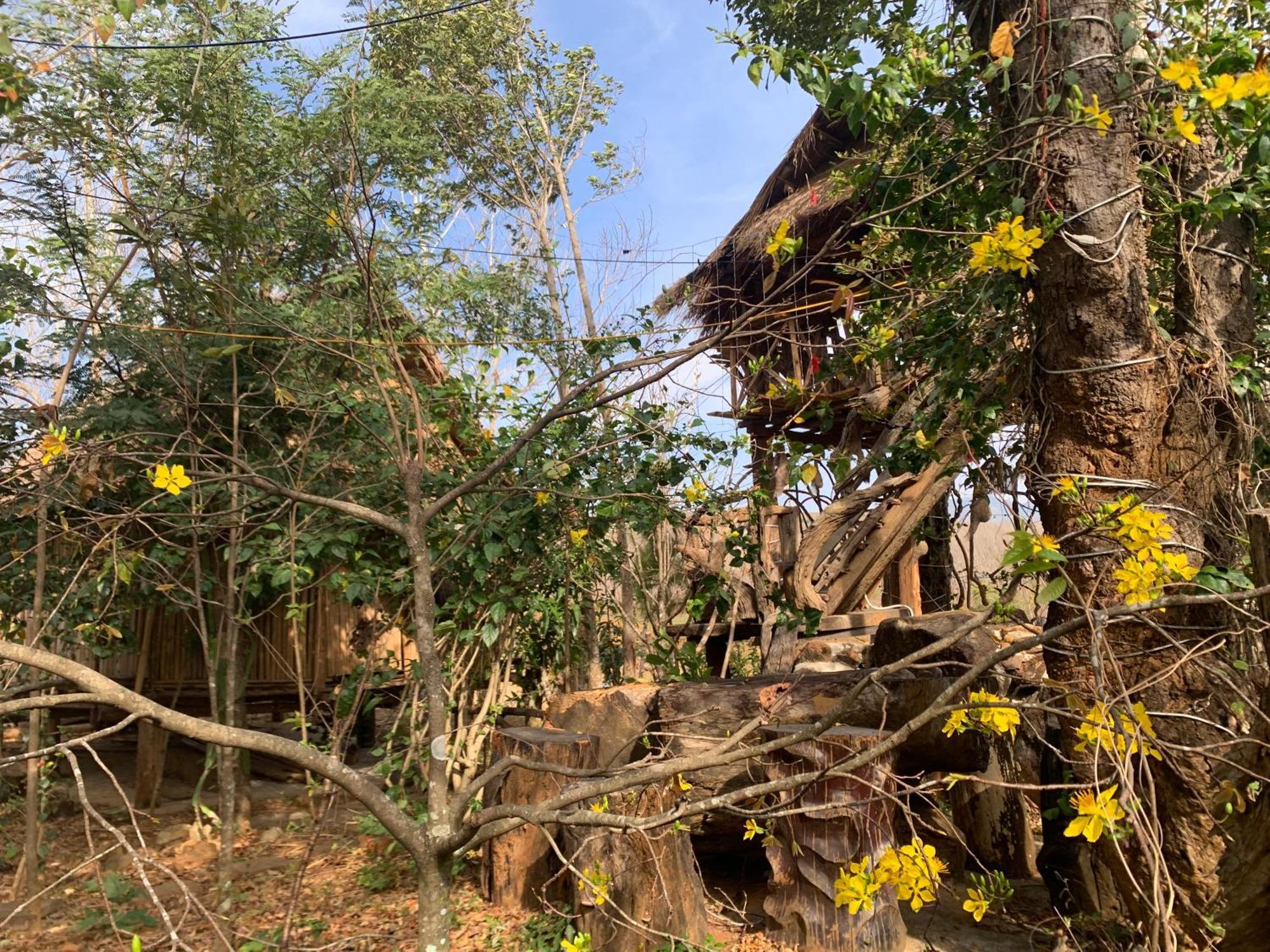 Hoàng Ánh - Kon Xom Luh Villa Kon Tum Ngoại thất bức ảnh
